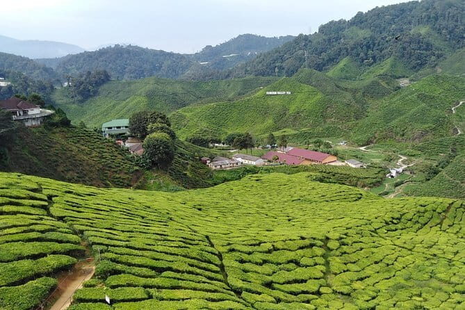 2 Days Private Vehicle With Driver -Explore Malaysia By Your Own Plans - Comfort and Practical Rules Inside the Vehicle