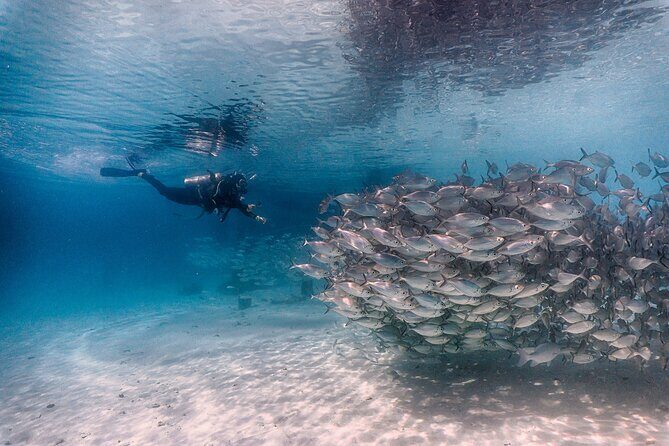 (2 Dives) Discover Scuba Diving Kota Kinabalu - The Morning Start: Registration, Gear Fit, and First Skills