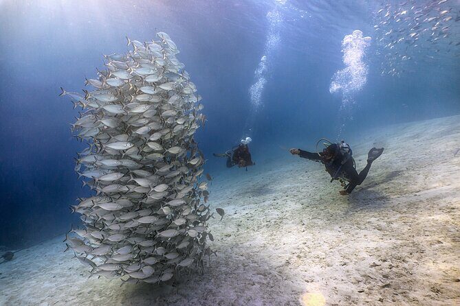 (2 Dives) Discover Scuba Diving Kota Kinabalu - Equipment, Permits, and Instructor Support (The Stuff You Don’t Want to Worry About)