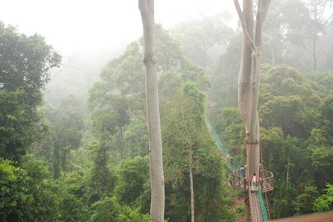 2-Night Danum Valley Borneo Rainforest Lodge Hiking and Wildlife Adventure - The Danum Valley scheduling reality: two lodge nights, not three full hiking days