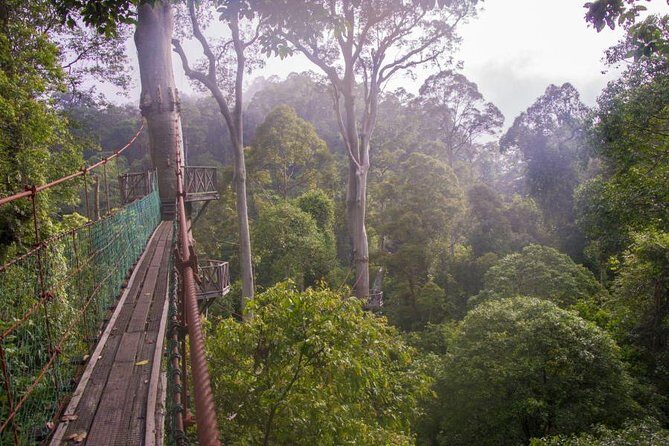 2-Night Danum Valley Borneo Rainforest Lodge Hiking and Wildlife Adventure - The Borneo Rainforest Lodge: comfortable basecamp in a place with fewer options