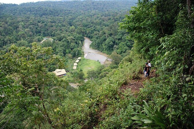 2-Night Danum Valley Borneo Rainforest Lodge Hiking and Wildlife Adventure - Night walk on day 2: second chance for nocturnal sightings