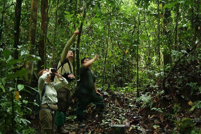 2-Night Danum Valley Borneo Rainforest Lodge Hiking and Wildlife Adventure - Getting inside the rainforest: what your first hike actually feels like