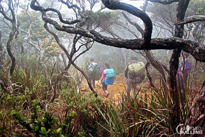 2d1n Mount Kinabalu Via Ferrata - Walk The Torq - Entering Mount Kinabalu’s world: a summit hike plus Via Ferrata