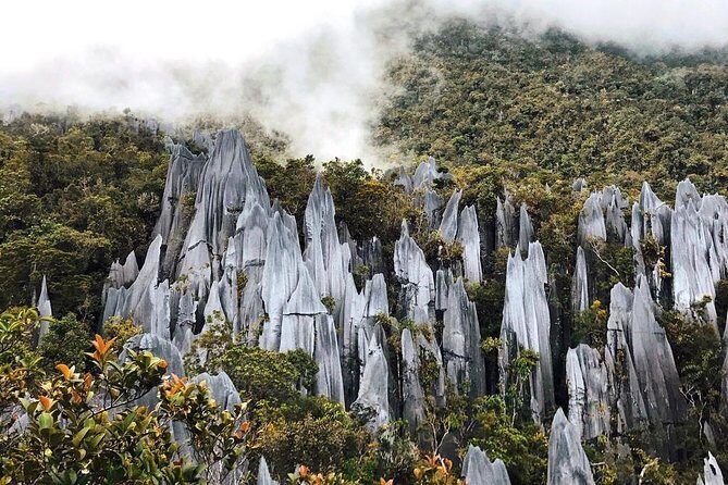 3 Days 2 Nights Unesco World Heritage Mulu 4 Showcaves - Key highlights worth knowing