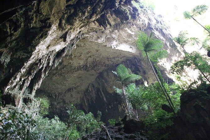 3 Days 2 Nights Unesco World Heritage Mulu 4 Showcaves - Guides, timing, and why this small group setup matters