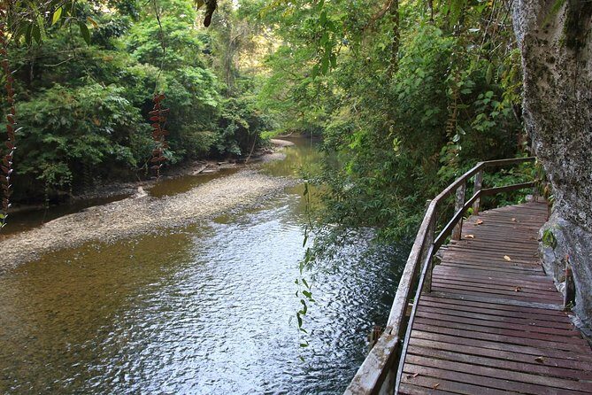3 Days 2 Nights Unesco World Heritage Mulu 4 Showcaves - Day 1: Lang’s Cave and Deer Cave, plus the late bat exit