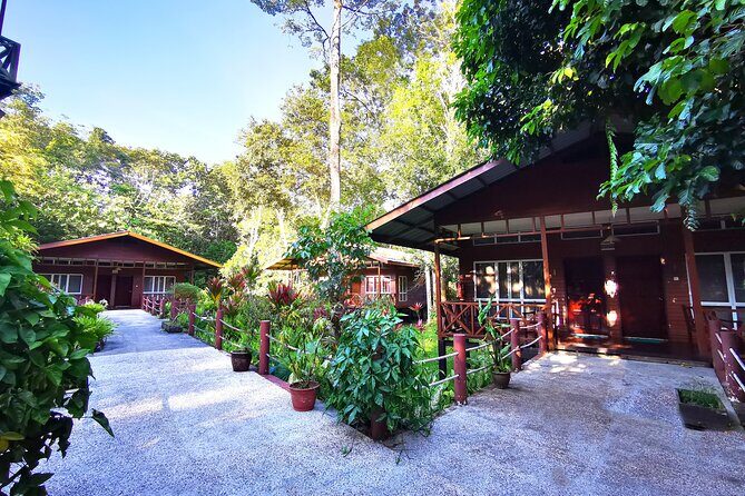 3D2N Sukau Wildlife Experience - Kinabatangan from a lodge that actually sits in the jungle