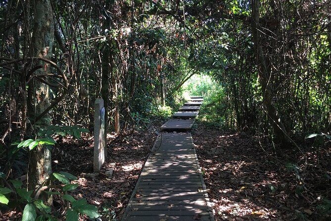 4-Day Jungle Experience in Taman Negara from Kuala Lumpur - Day 1: Arrival, orientation, and the night jungle walk
