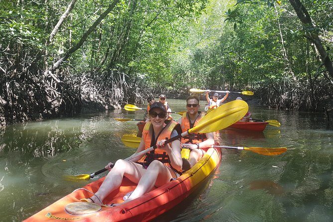 5 Hours Kilim Mangrove Kayaking Sharing Tour (With Hotel Pickup) - Price and Value: Is $80 Worth It?