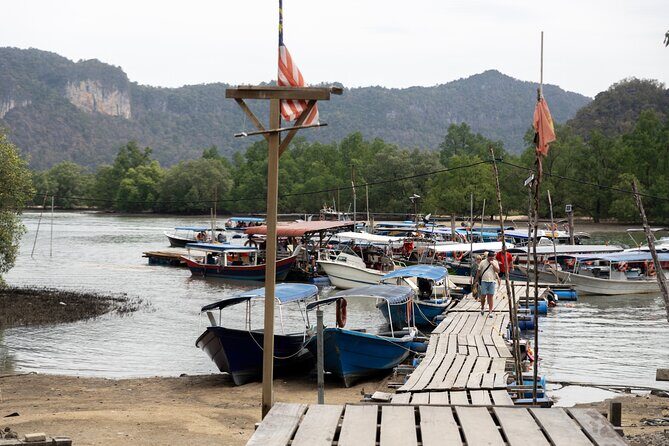 5 Hours Mangrove Boat Tour in Langkawi - Timing and pacing: how to fit it into your Langkawi day