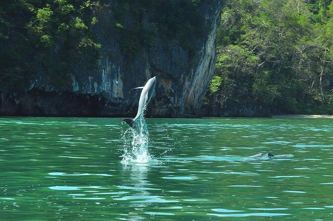 5 Hours Sharing Basis Kilim Mangrove Safari Boat Tour in Langkawi - Gua Kelawar Bat Cave: 30 Minutes That Can Feel Longer