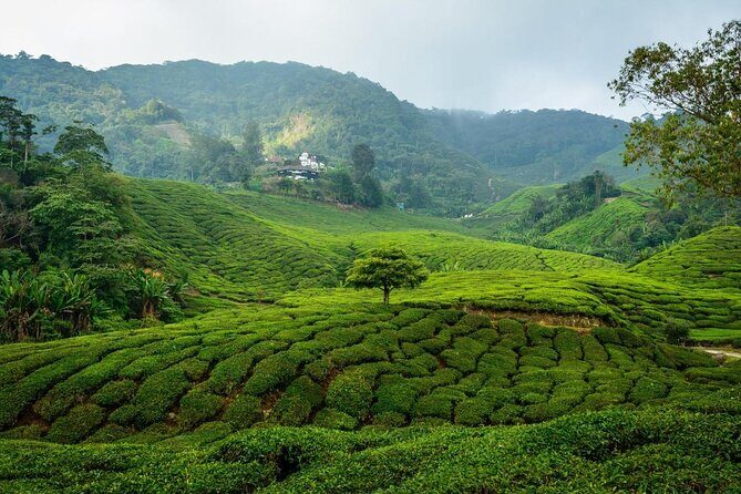 7-Days Best of Malaysia - Key highlights to know before you go
