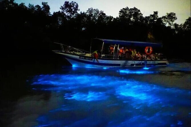 Amazing Fireflies With Blue Tears Watching & Kuala Selangor Tour - A KL Night Trip to Fireflies and Blue Tears in Kuala Selangor
