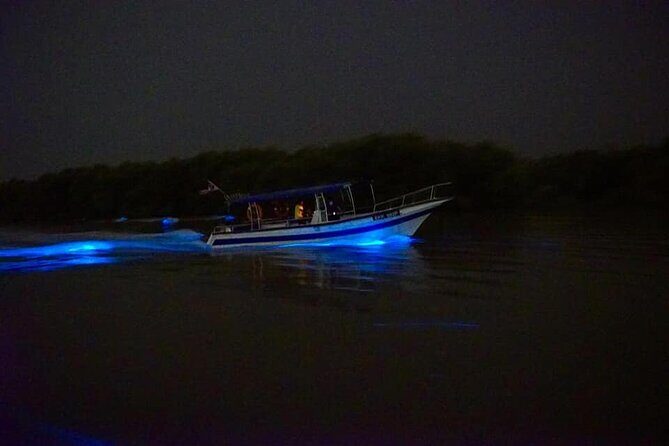 Amazing Fireflies With Blue Tears Watching & Kuala Selangor Tour - Value for Money at $55.92 and What You Actually Get Included