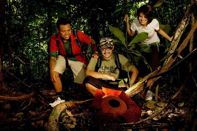 Amazing Taman Negara Day Trip from Kuala Lumpur Including Lunch - Key Things That Matter on This Taman Negara Day Trip
