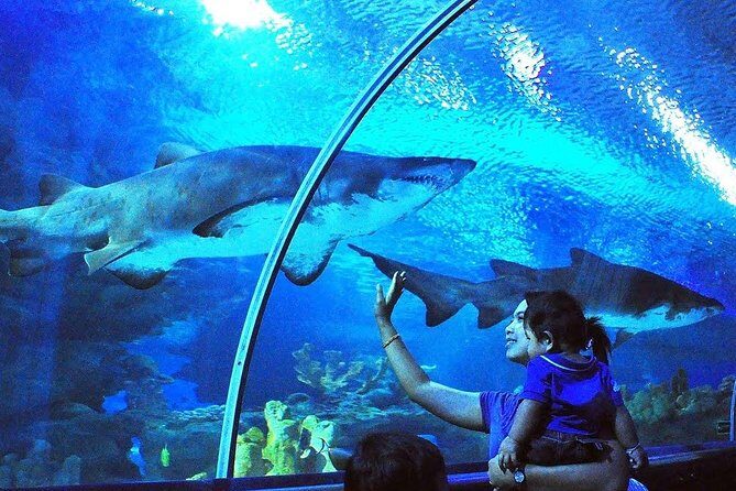 Aquaria KLCC Admission with Kuala Lumpur City Famous Landmarks - Key highlights to know before you go
