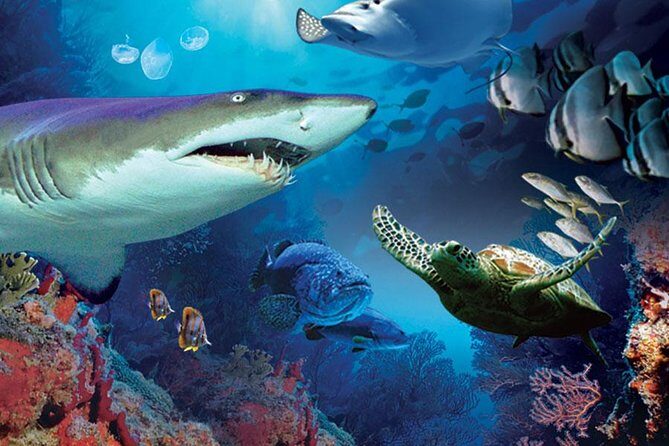 Aquaria KLCC Admission with Kuala Lumpur City Famous Landmarks - Aquaria KLCC: the animals are fun, and the tunnel walk is the star