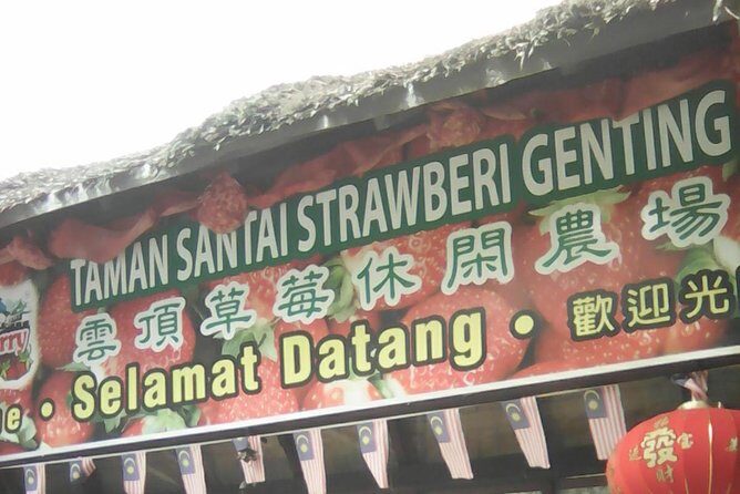 Batu Caves and Genting Highland Tour - Awana Skyway Up to Genting Highlands: The Cable Car Part (and the Extra Cost)