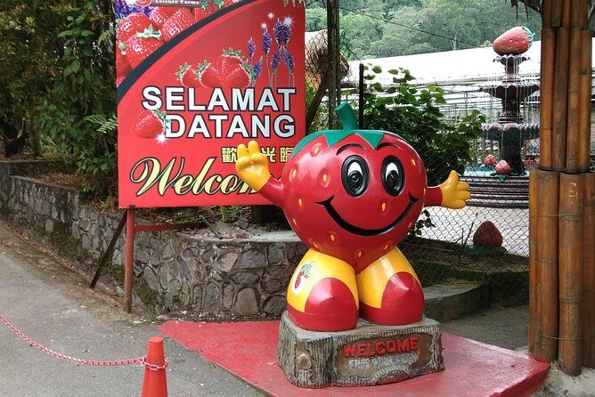 Batu Caves and Genting Highland Tour - Price and Value Check: What You Get for $70.30