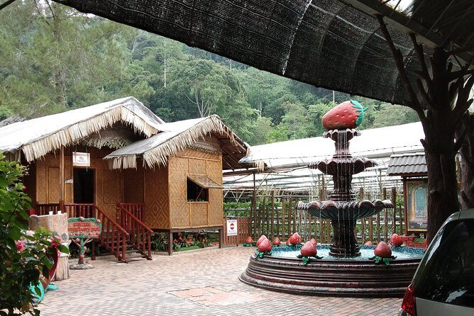 Batu Caves and Genting Highland Tour - Who This Tour Suits Best (and Who Might Want a Different Plan)