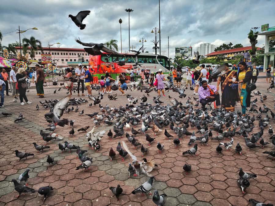 Best of Kuala Lumpur Tour with KL Tower & Batu Caves - Gardens, Birds, National Monument, Mosque, and Old Railway Station
