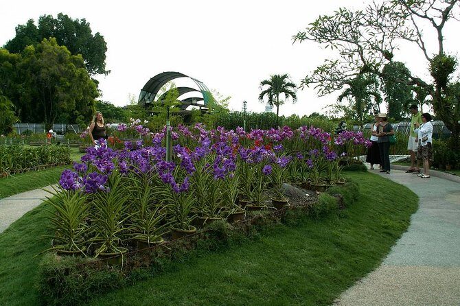 Bird Park & Butterfly Farm Nature Include All Entrance Tour From Kuala Lumpur - The Smart Reason to Bundle Bird Park, Butterfly Park, and Orchids
