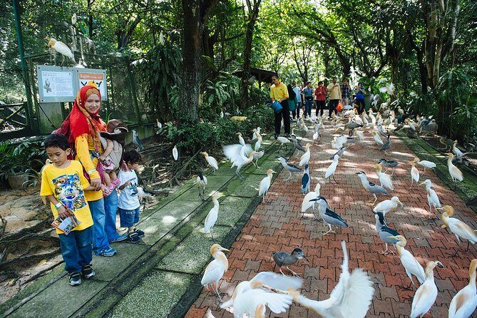 Bird Park & Butterfly Farm Nature Include All Entrance Tour From Kuala Lumpur - The 3 Hours 30 Minutes Plan: Pacing That Doesn’t Feel Rushed