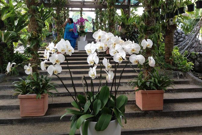 Bird Park & Butterfly Farm Nature Include All Entrance Tour From Kuala Lumpur - Price and Value: When $74 Makes Sense (and When It Might Not)