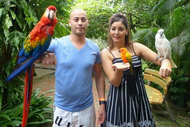 Bird Park & Butterfly Farm Nature Tour From Kuala Lumpur - Who this tour suits best (and who might want to skip it)