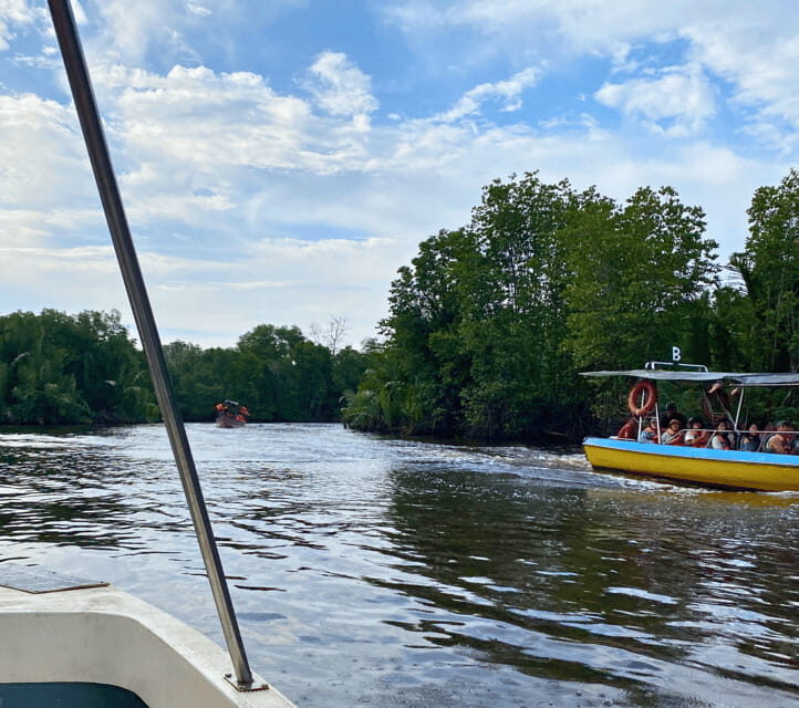 Bongawan River Cruise: Proboscis Monkey & Fireflies Viewing - Tea time, dinner, and transport: where the value comes from