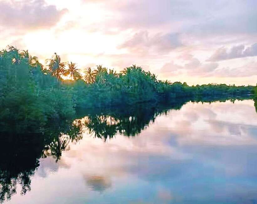 Bongawan Wetland: Proboscis Monkey and Fireflies Shared Tour - Entering Bongawan Wetland: why this combo works