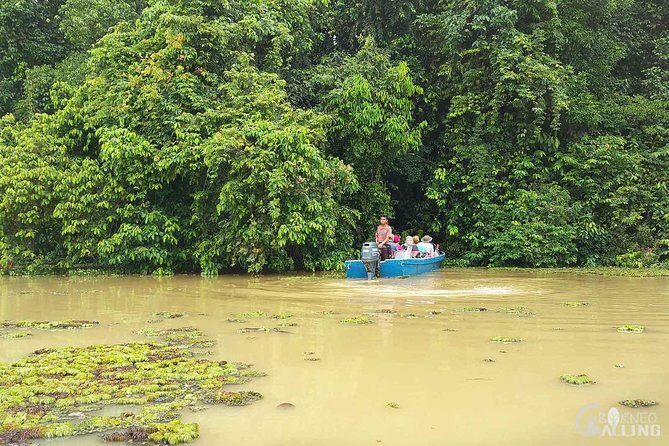 Borneo Kinabatangan River Cruise Day Trip - Dinner at the lodge: practical fuel before the ride back