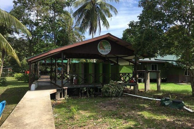 Borneo (Klias) River Cruise & Fireflies Tour - Why the Klias Wetlands feel different from other Borneo tours