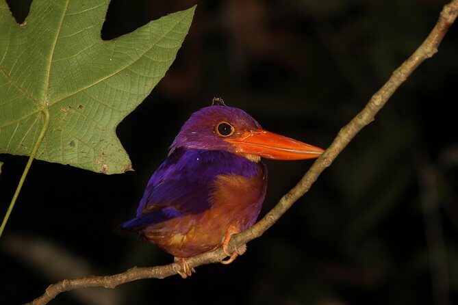 Borneo Wildlife Tour 2 Days 1 Night At Tanjung Bulat Jungle Camp Kinabatangan - Dinner at 7:00pm: Local Food After a Long Day of Looking