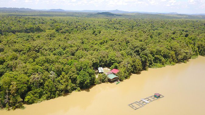Borneo Wildlife Tour 3 Days 2 Nights At Tanjung Bulat Jungle Camp Kinabatangan - The practical “boat time” truth