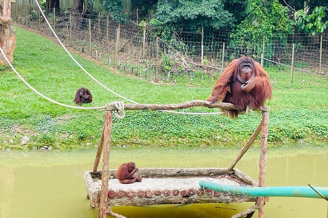 Bukit Merah Orang Utan and Penang City Private Tour - The private car and pacing: what 6 hours feels like in real life
