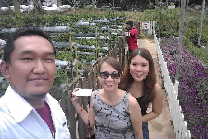 Cameron Highland Day Tour From Kuala Lumpur With Lunch Local food - Lata Iskandar Waterfall: A Quick Stretch on the Way Up