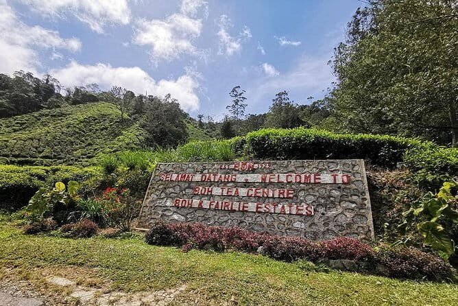 Cameron Highland Day-Trip from Kuala Lumpur - A Cool Break From Kuala Lumpur, Without the DIY Chaos