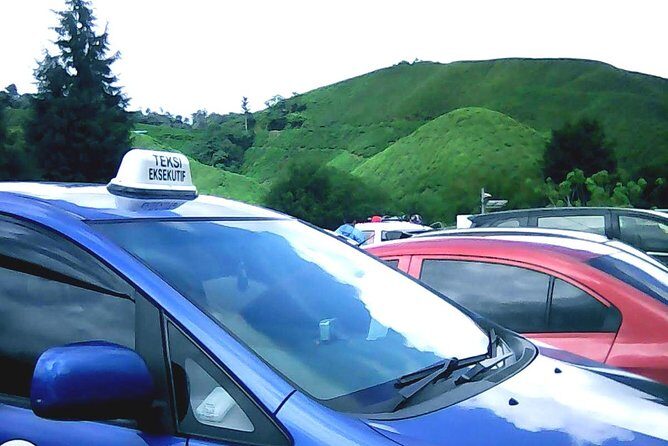Cameron Highland Private Day Tour - How the day tour flows from Kuala Lumpur