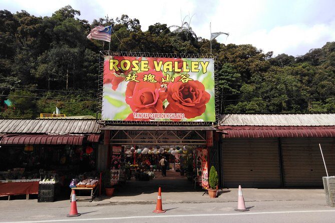 Cameron Highland Private Day Tour - Tea at Cameron Valley: dessert stop with paid entry
