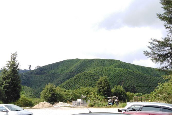 Cameron Highland Private Day Tour - Markets, strawberry farms, and the Kea Farm vegetable hub