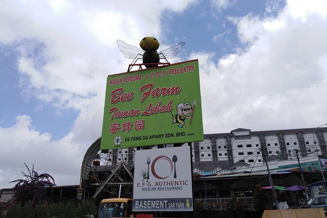 Cameron Highland Private Day Tour - Sam Poh Temple, Rose Valley’s 450+ species, and Cameron Lavender