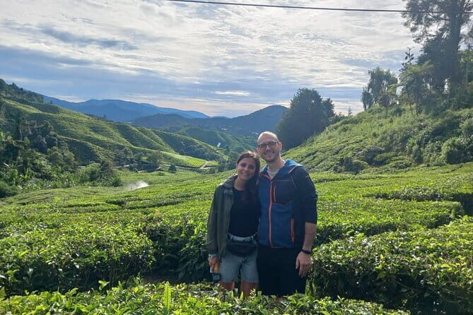 Cameron Highland Private Day Tour From Ipoh - Cameron Highlands by private car: why it feels easier from Ipoh
