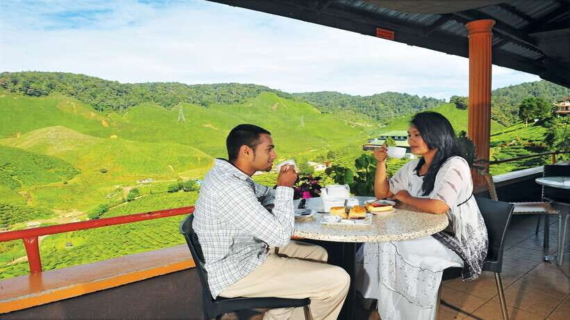 Cameron Highlands 1 Day Tour from Kuala Lumpur - Strawberry Picking, Vegetable Market, and Cactus Valley