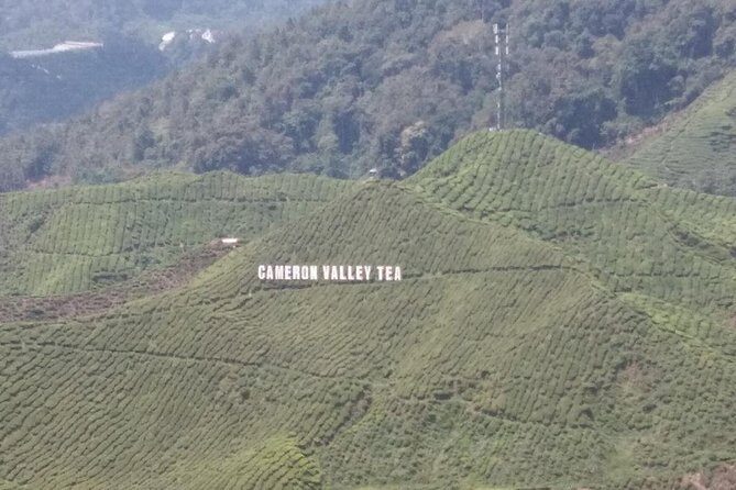 Cameron Highlands 3 Days 2 Night Tours Private (per Vehicle) - Day 1: Lata Iskandar Waterfall to Cameron Valley Tea