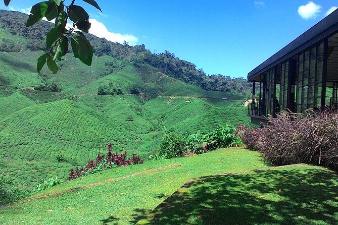 Cameron Highlands 3 Days 2 Night Tours Private (per Vehicle) - Price and Logistics: What Your $750 Covers (and What It Doesn’t)