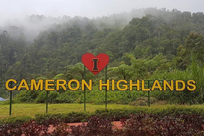 Cameron Highlands Amazing Day Trip Tour with Local Lunch - Key highlights to know before you go