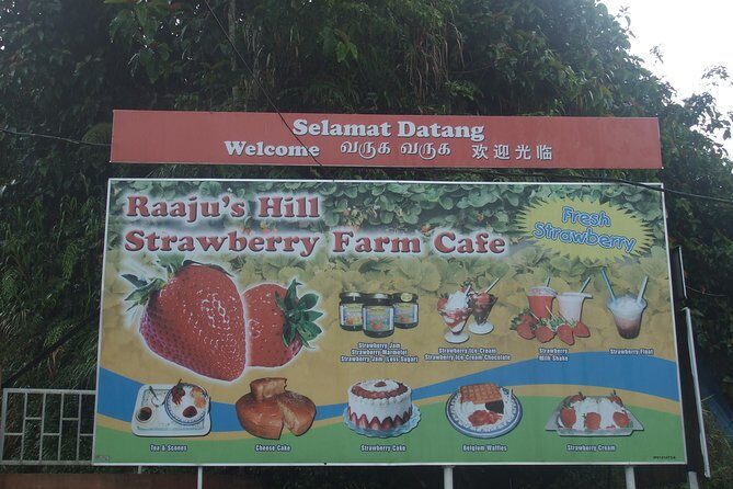 Cameron Highlands Amazing Day Trip Tour with Local Lunch - Stop 5: Ee Feng Gu Bee Farm for Honey Tasting (Admission Not Included)