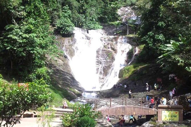 Cameron Highlands & Batu Caves Full-Day Tour - Getting Moving: Hotel Pickup and a Driver Who Keeps It Safe
